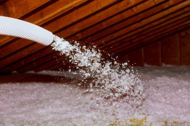 Best Insulation for Specific Applications in Palermo, CA