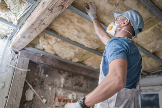 Best Insulation Installation Services in Palermo, CA
